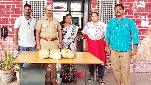 கஞ்சா பறிமுதல் - ஒடிசாவைச் சேர்ந்த பெண் கைது