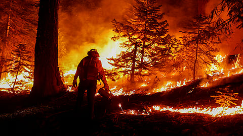 wildfire in usa los angeles updates