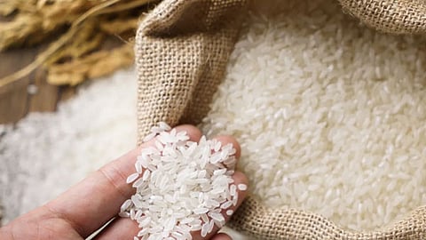 rice farming dates back to china 9000 years ago