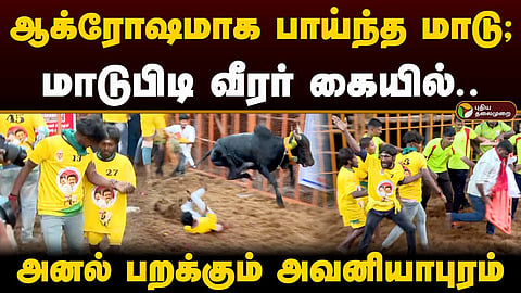 அவனியாபுரம்  ஜல்லிக்கட்டு