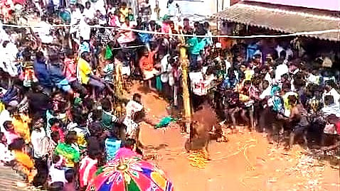 அனுமதியின்றி நடத்தப்பட்ட எருதாட்டம்