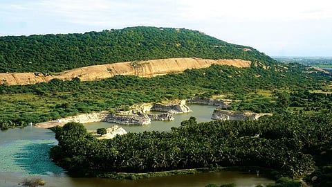 cases against protest tungsten-mining project withdrawn
