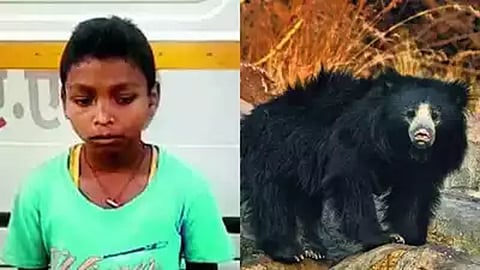 தீபெந்திரெ நேதமென்