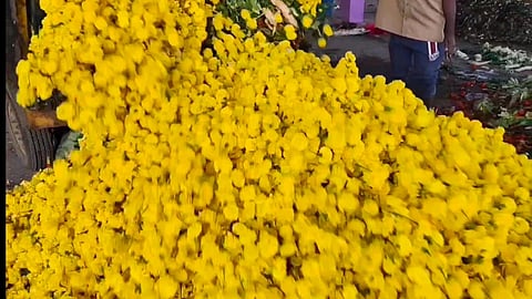 குப்பையில் கொட்டப்படும் செண்டு மல்லி பூக்கள்