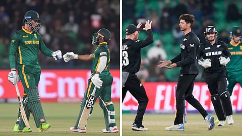 SA vs NZ