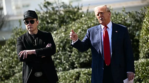 elon musk - donald trump