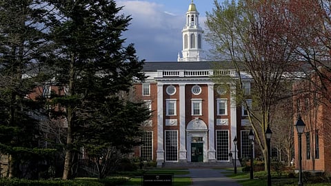 donald trump blocks aarvard from enrolling international students