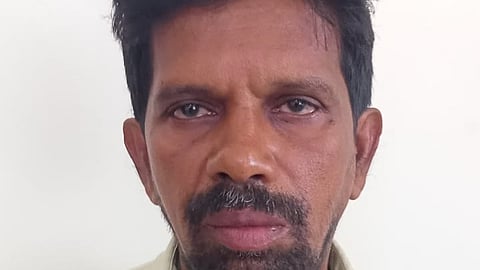 Suruli malai