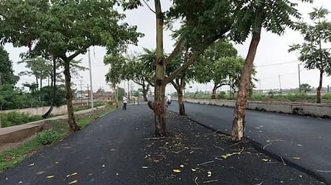 பீகார்