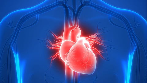 Healthy heart