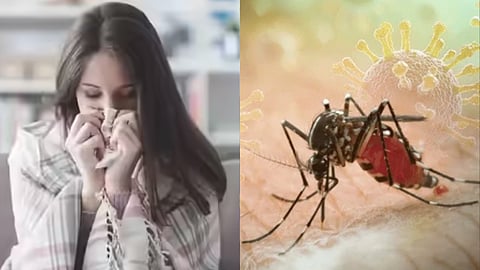 டெங்கு காய்ச்ச்சல்