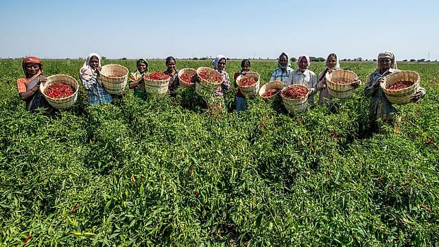வேளாண் நிலப்பரப்பு