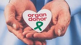 orgon donation 
