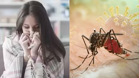 டெங்கு காய்ச்ச்சல்