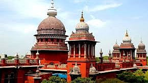 Madras High Court Seeks ECIs Response On Plea  Mango Symbol