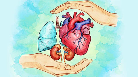 organ donation