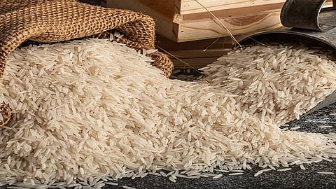 Basmati Rice 