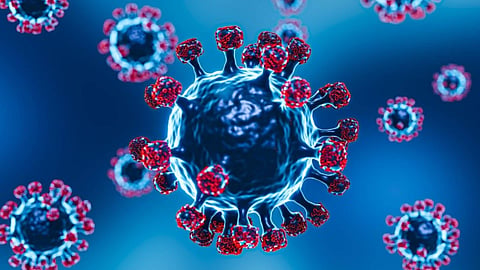 Covid-19 Variant New BA.3.2 Cicada Virus Symptoms, Risk Factors Explained