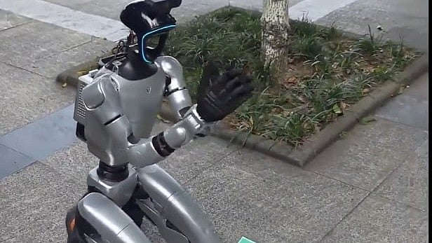 Humanoid Robot