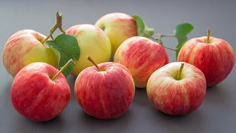 Climate Change Threatens Kodaikanal's Famous Hill Apples