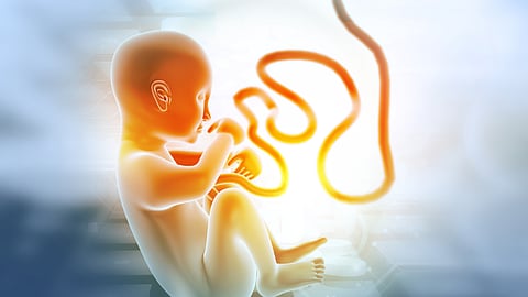 Pakistan probes syndicate suspected of smuggling human placenta