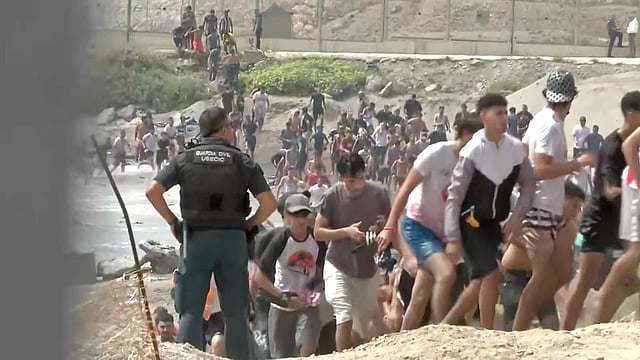 Migrants