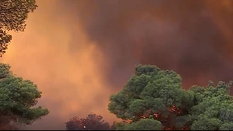 wildfire