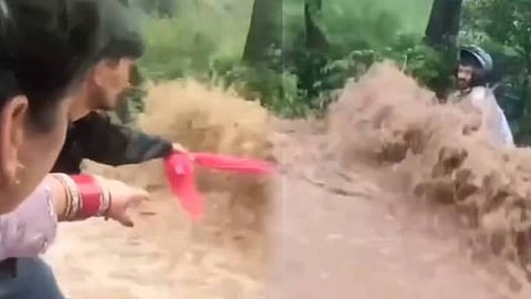 viral content