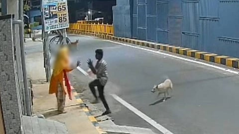 Street dog has saved a woman from abuser
