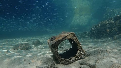 16-foot sea creature seen near California