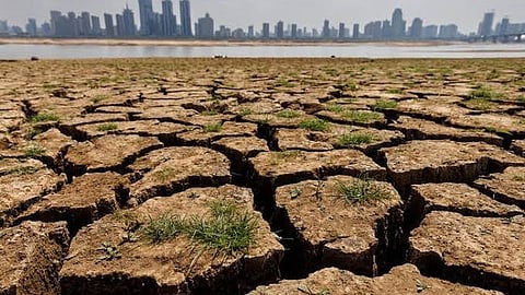 Maharashtra declares drought in 265 tehsils
