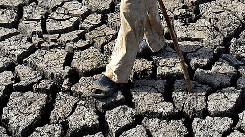 India Declares Drought in 5 States Amid Weak Monsoon