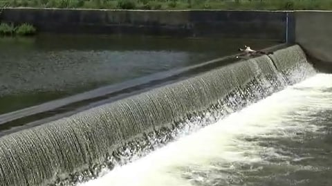 Mullaperiyar Dam Sees Rise in Inflow