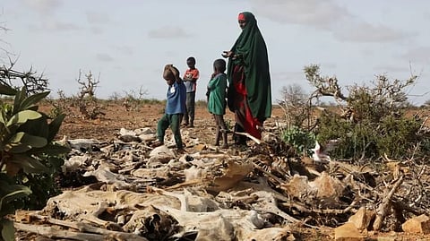 Horn of Africa Drought