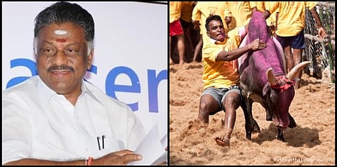 ஜல்லிக்கட்டுக்கு அவசரச் சட்டம்: பிரதமருக்கு முதல்வர் ஓ.பன்னீர் செல்வம் கடிதம்