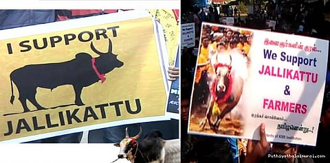 ஜல்லிக்கட்டிற்காக தைவானில் தமிழர்கள் போராட்டம்