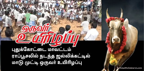 புதுக்கோட்டை ஜல்லிக்கட்டில் ஒருவர் உயிரிழப்பு