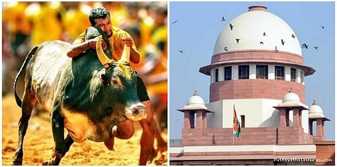 ஜல்லிக்கட்டு வழக்கு: உச்சநீதிமன்ற விசாரணை அமர்வு அறிவிப்பு
