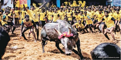 காளையை அடக்கினால் கார் பரிசு