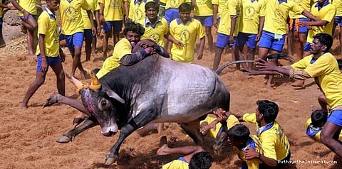 ஜல்லிக்கட்டில் பரிசு அள்ளிய பெண்!