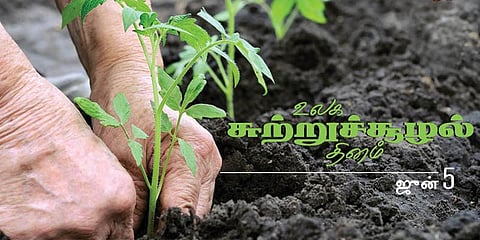 சொர்க்கம் என்பது நமக்கு... இன்று சுற்றுச்சூழல் தினம்!