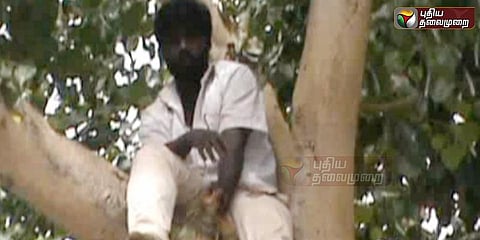 மனைவி வேண்டும் - மரத்தின்மேல் ஏறிபோராடிய கணவன்