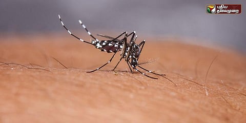 டெங்கு உயிரிழப்புகளால் பொதுமக்கள் அச்சம் 
