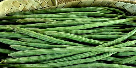 முருங்கை விலை உயர்வு: விவசாயிகள் மகிழ்ச்சி