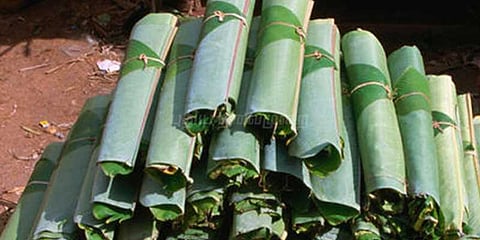 வாழை இலை‌ விலை வீழ்ச்சி: விவசாயிகள் வருத்தம்