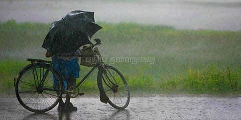 தமிழகத்தில் பரவலாக பெய்யும் மழை :பொதுமக்கள், விவசாயிகள் ம‌கிழ்ச்சி