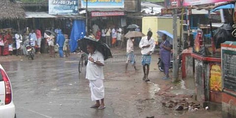 திருவாரூர், நாகையில் பரவலாக மழை: பொதுமக்கள், விவசாயிகள் மகிழ்ச்சி