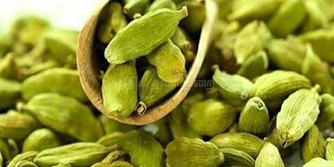 ஏலக்காய் விலை அதிகரிப்பு 