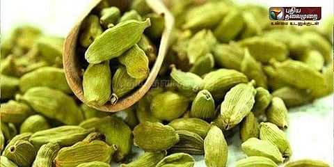 ஏலக்காய்‌ விளைச்‌சல் அமோகம்: விவசாயிகள் மகிழ்ச்சி