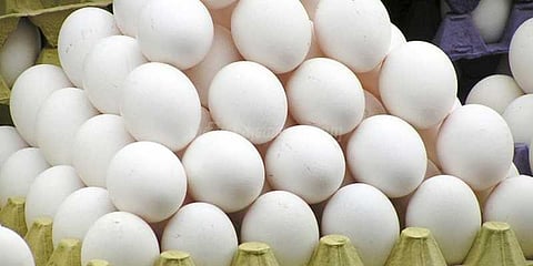 ஒரு முட்டையின் விலை ரூ.4.74 காசுகள்